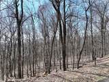 243 Dragon Trail - Photo 11