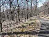243 Dragon Trail - Photo 12
