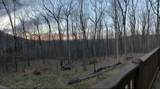 168 Green Cabin Way - Photo 34