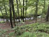 255 Clear Creek Preserve Way - Photo 54