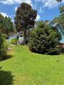 1555 Maple Ridge Drive - Photo 6