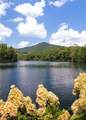 1414 Mcelroy Mountain Drive - Photo 93