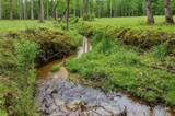 1100 Soap Creek Road - Photo 7
