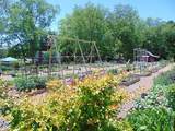 309 Harvest Trail - Photo 33