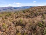 50 Shawnee Trail - Photo 50