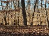 0 Arrowhead Court - Photo 2