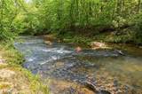1100 Soap Creek Road - Photo 5