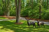 2995 Gum Creek Road - Photo 46