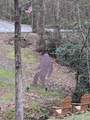 7250 Timber Trail - Photo 67