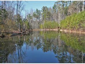160 Ammons Road - Photo 1