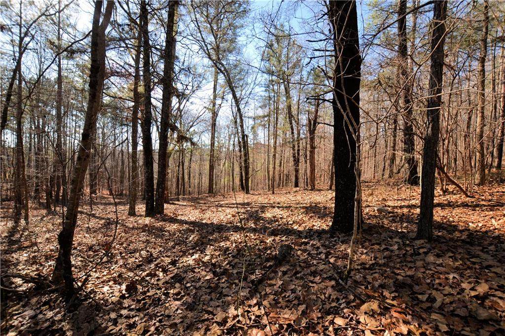 1669 B High Point Road - Photo 1