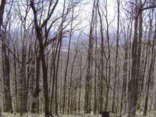 1842 Echo Ridge - Photo 1