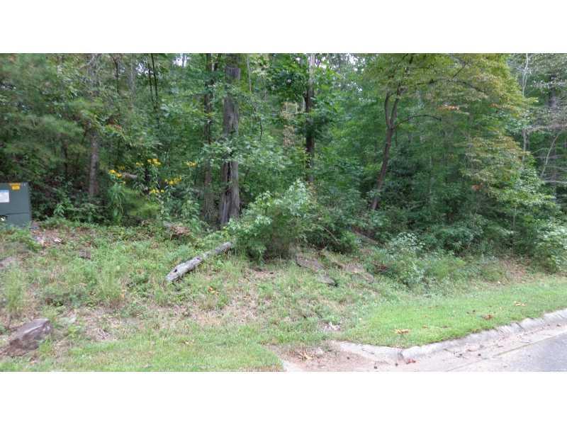 Lot 11 Wildwood Parkway - Photo 1