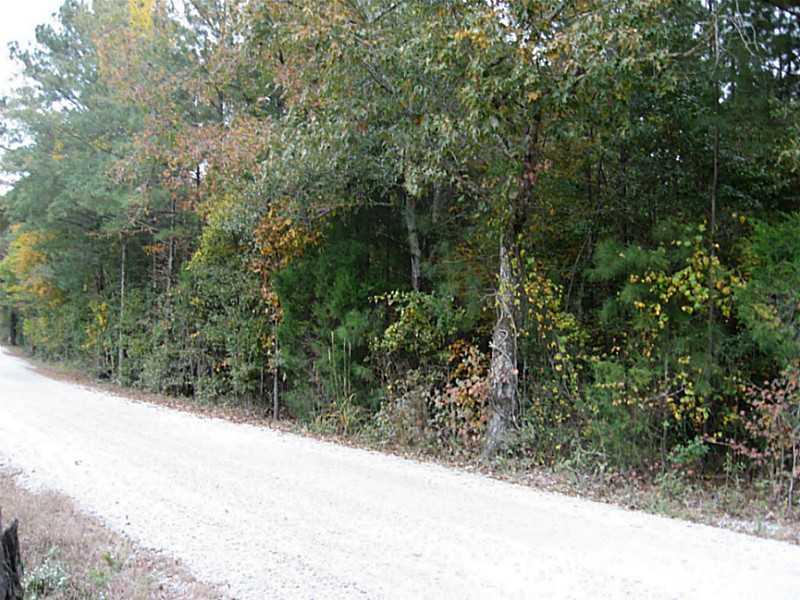 0000 Old Greenville Road - Photo 1