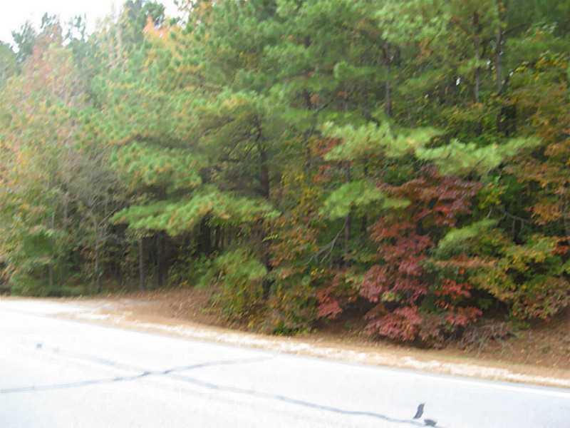 0000 Eidson Trail - Photo 1