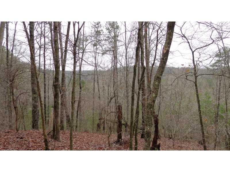 40 41 Wildwood Parkway - Photo 1