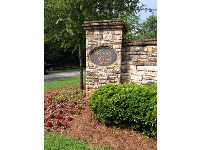 117 Trinity Hollow Drive, Canton, GA 30115 (MLS #5312971) :: North Atlanta Home Team
