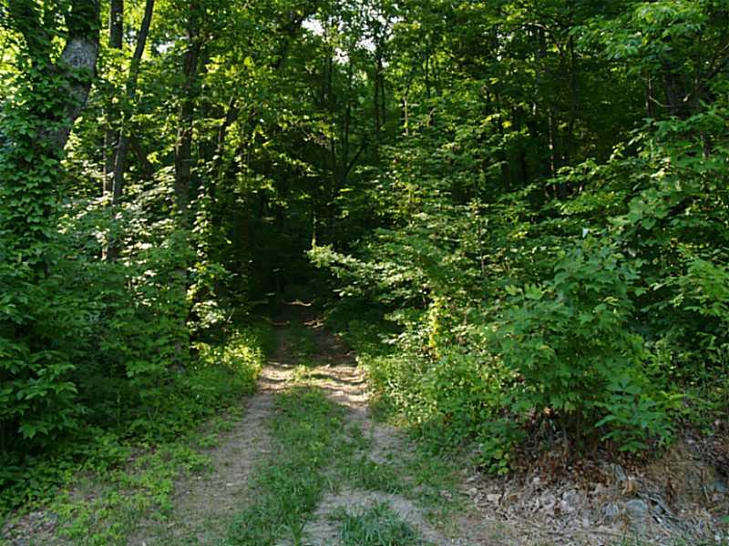 LOT 40 Highcliff - Photo 1