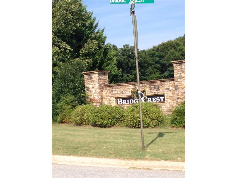 1209 Bridge Crest Drive - Photo 1