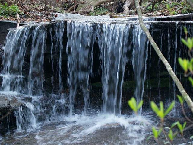 LOT 19 Monument Falls Road - Photo 1