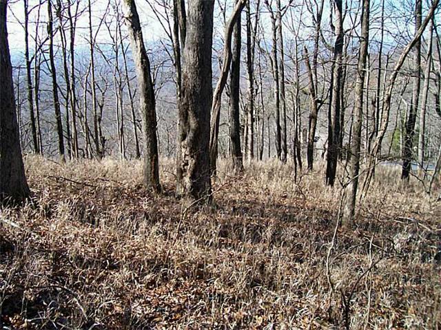8045 Ridgeview Drive - Photo 1