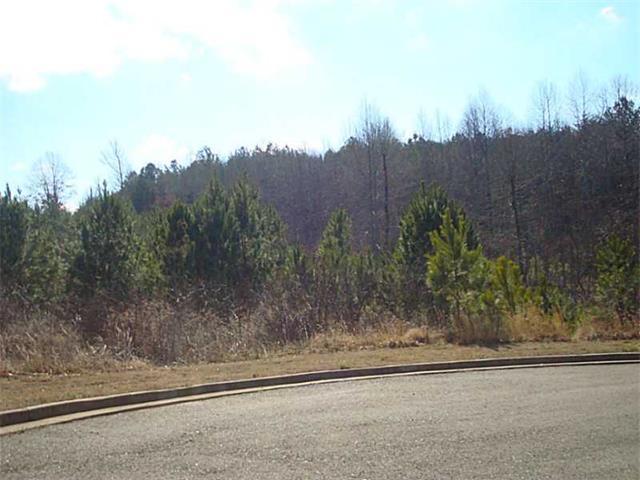 Lot 19 Village Court - Photo 1