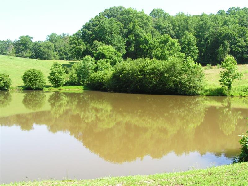 4 Quiet Waters - Photo 1