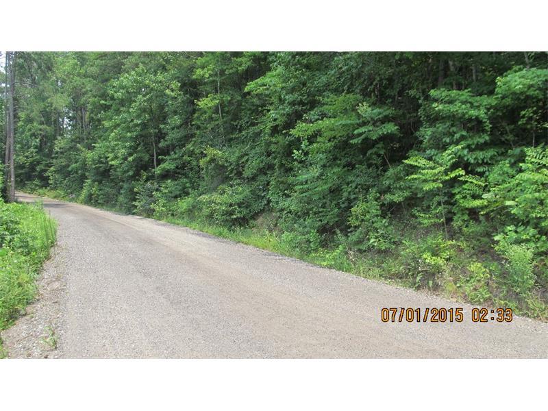 0 Mcclure Road - Photo 1