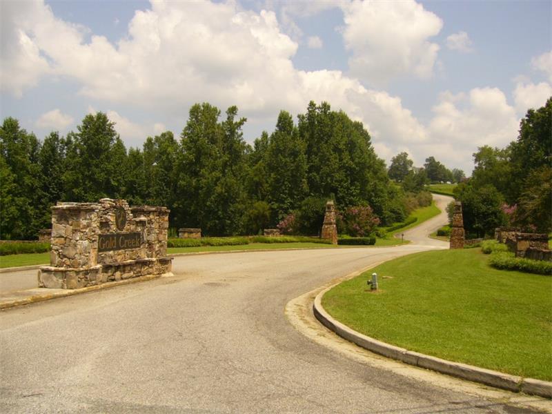 585 Gold Bullion Drive - Photo 1