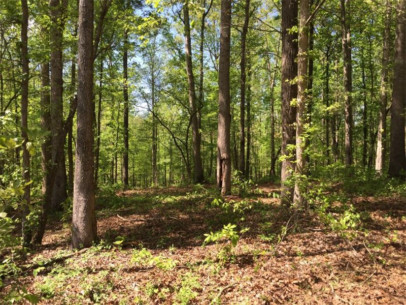 217 Trilium Trail - Photo 1