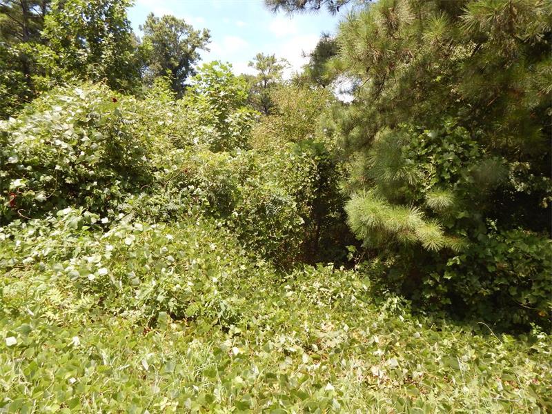 5160 Covington Highway - Photo 1