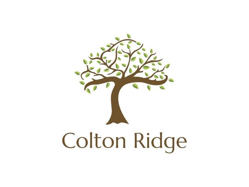 156 Colton Drive - Photo 1