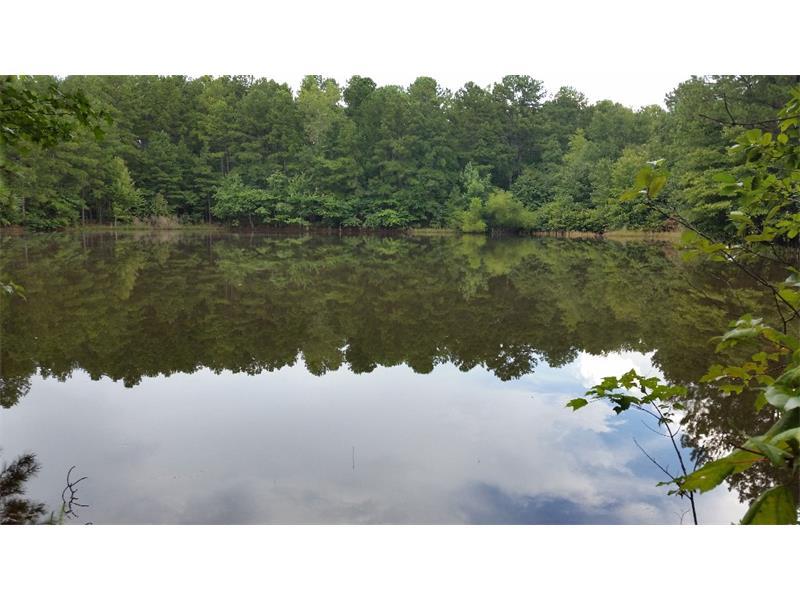 0 Rivertown Road - Photo 1