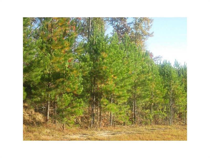 5395 Shadburn Ferry Road - Photo 1
