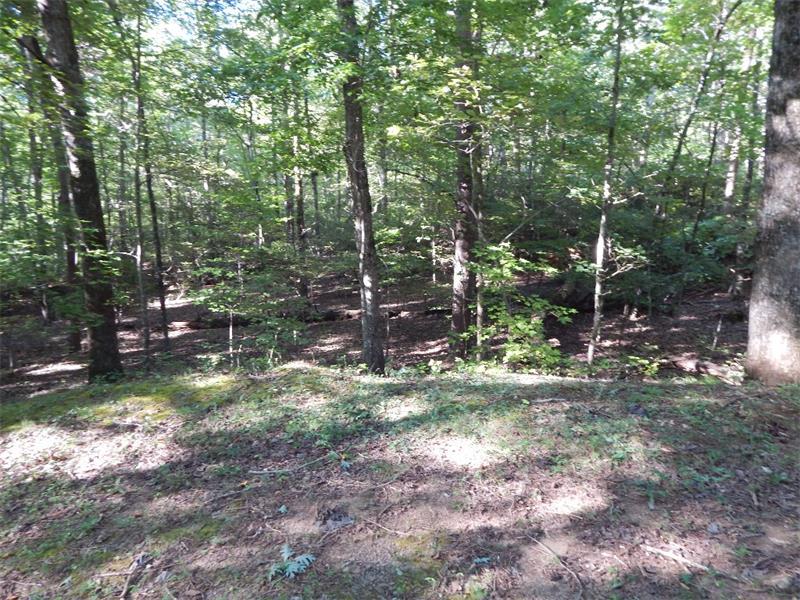 927 Sleepy Hollow Circle - Photo 1