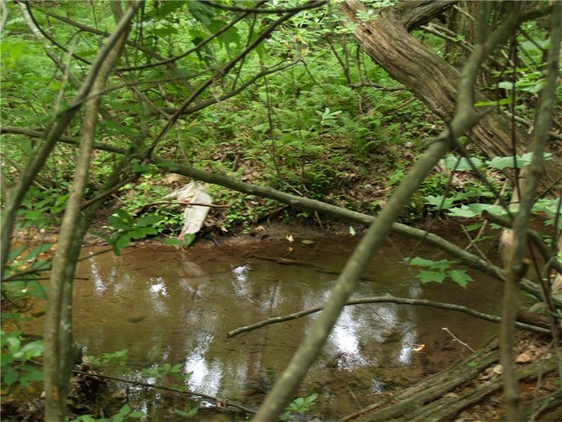 143 Hucklebery - Photo 1