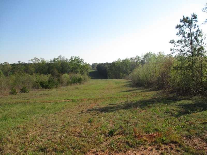 0 Transco Road - Photo 1