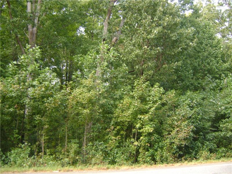 141 Earwood Path - Photo 1