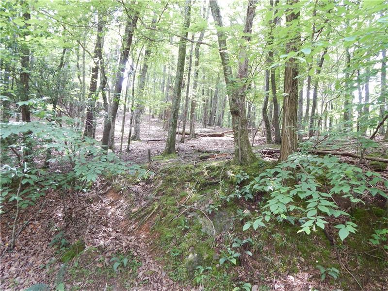 4531 Sassafras Mountain Trail - Photo 1