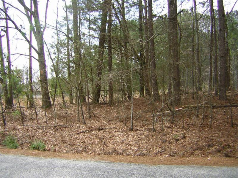 0 Green Avenue - Photo 1