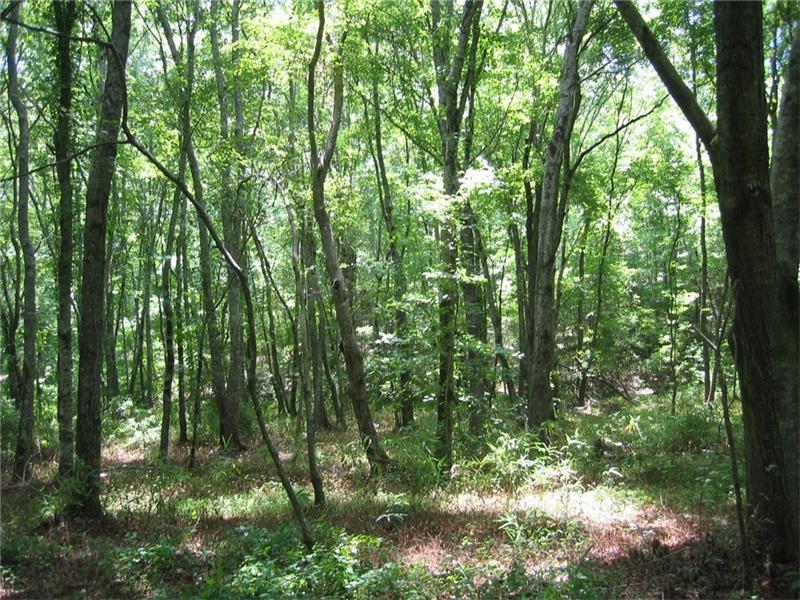0 Brushy Creek - Photo 1
