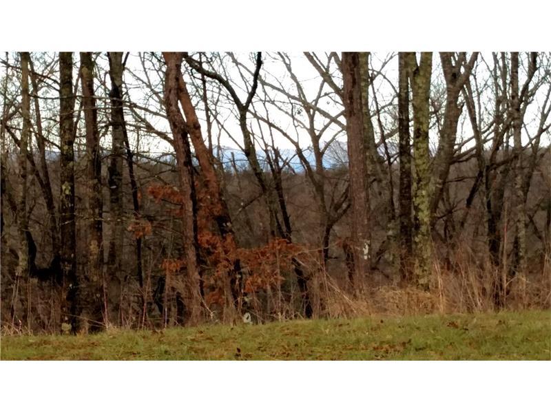 852 Rockhound Drive - Photo 1