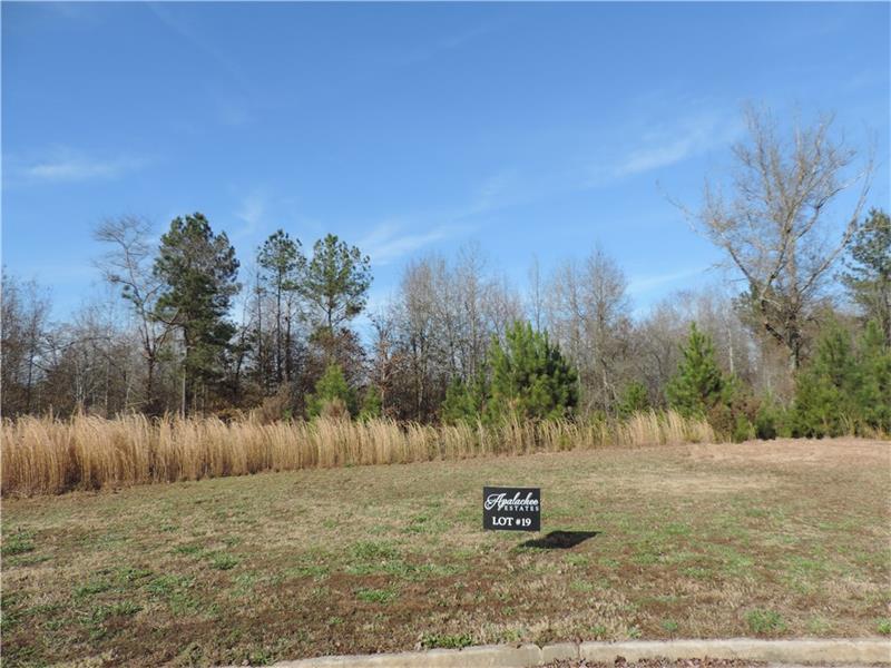 2164 Apalachee Trail, Monroe, GA 30656 (MLS #5625615) :: North Atlanta Home Team