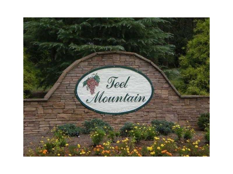 Lot 38 Teel Mountain Drive - Photo 1