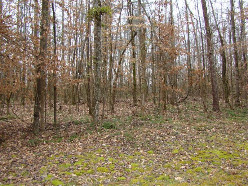 Tr B Meeks Road, Dahlonega, GA 30533 (MLS #5644829) :: North Atlanta Home Team