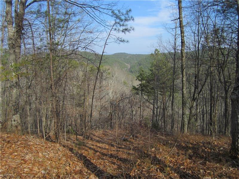 1381 Foxhound Trail - Photo 1
