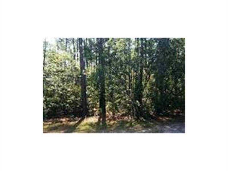 5610 Brown Road - Photo 1