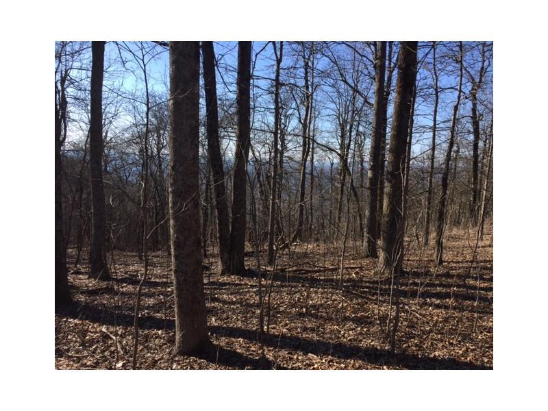 5626 Monument Road - Photo 1