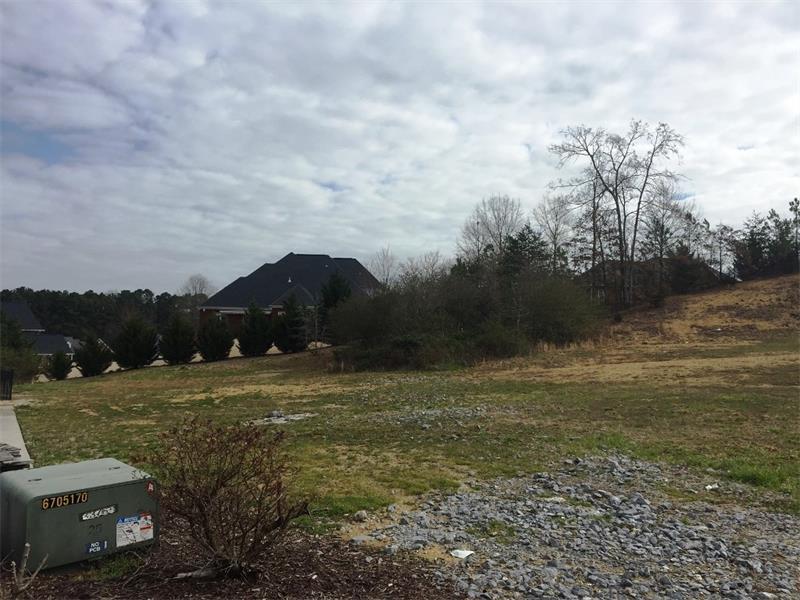 Lot 35 Chestnut Lane - Photo 1