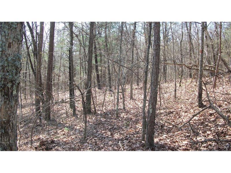 Lot 73 Crest View Drive - Photo 1